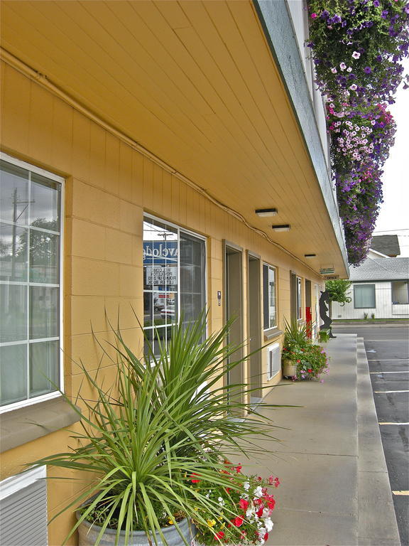 Travelodge By Wyndham Or Motel Pendleton
